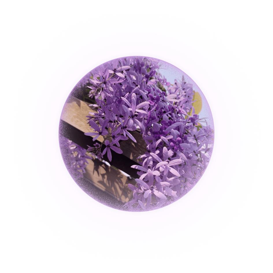 tetracera-lightball-1-2