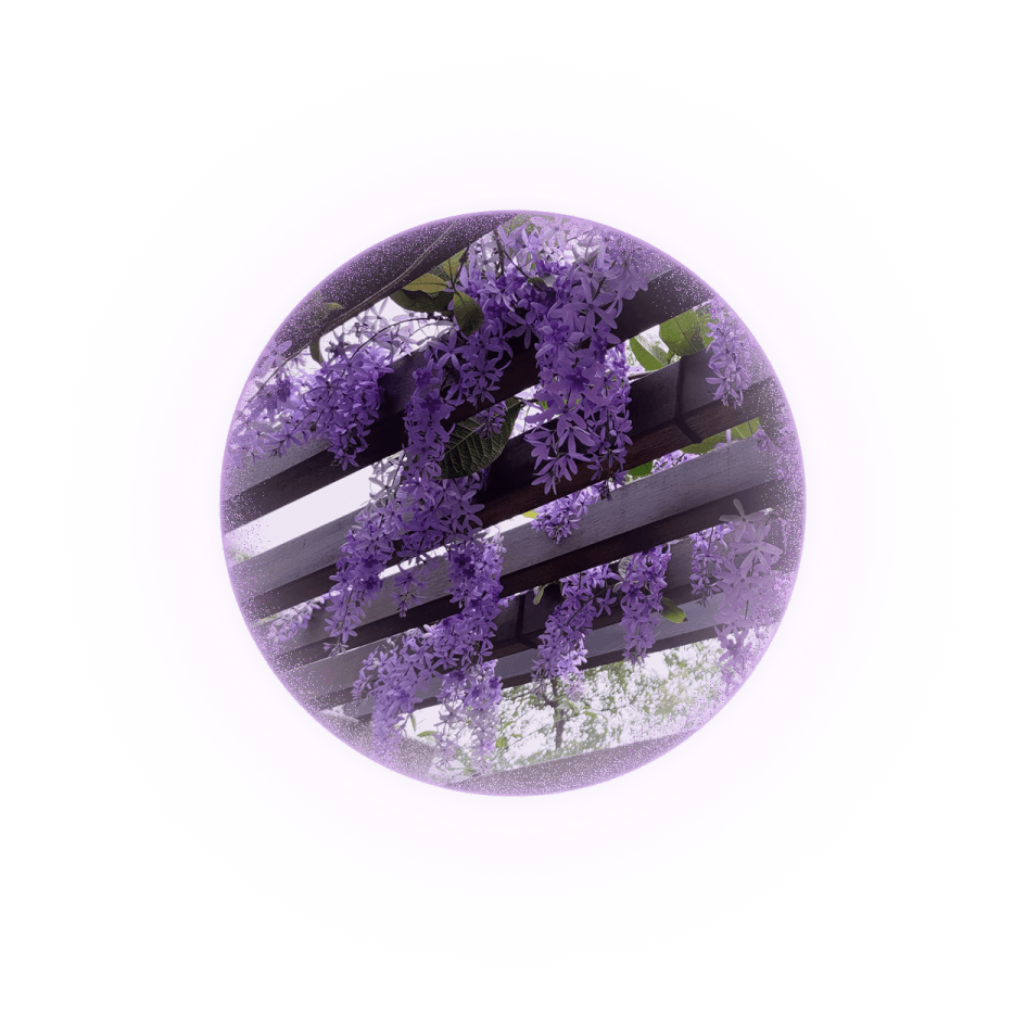 tetracera-lightball-1-3