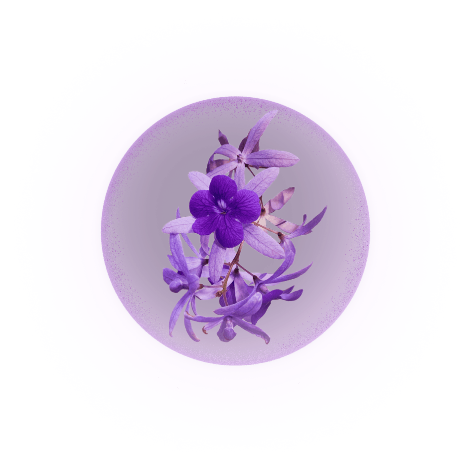 tetracera-lightball-2-1