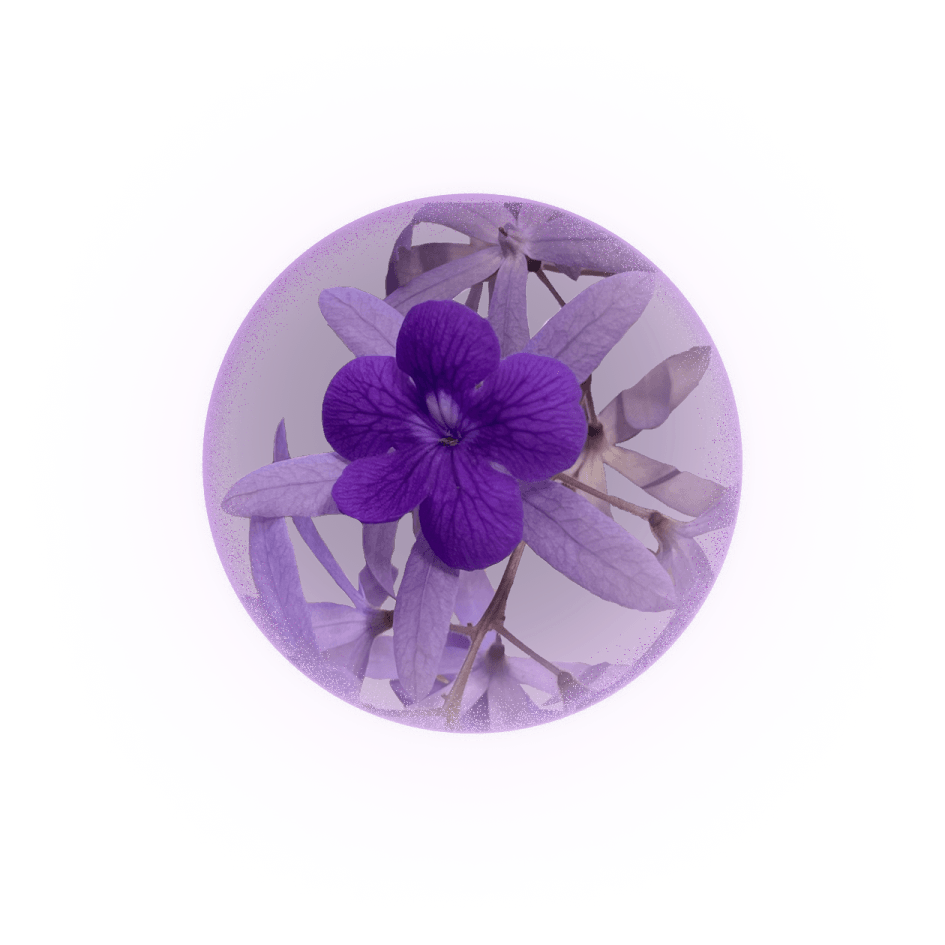 tetracera-lightball-2-3