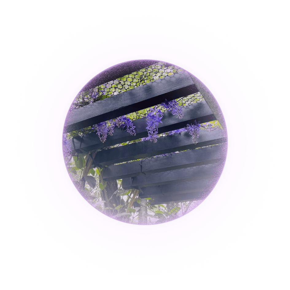 tetracera-lightball-2-6